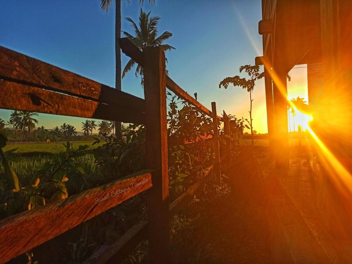 Sunset Homestay By Harry & Mimin Telaga Eksteriør billede