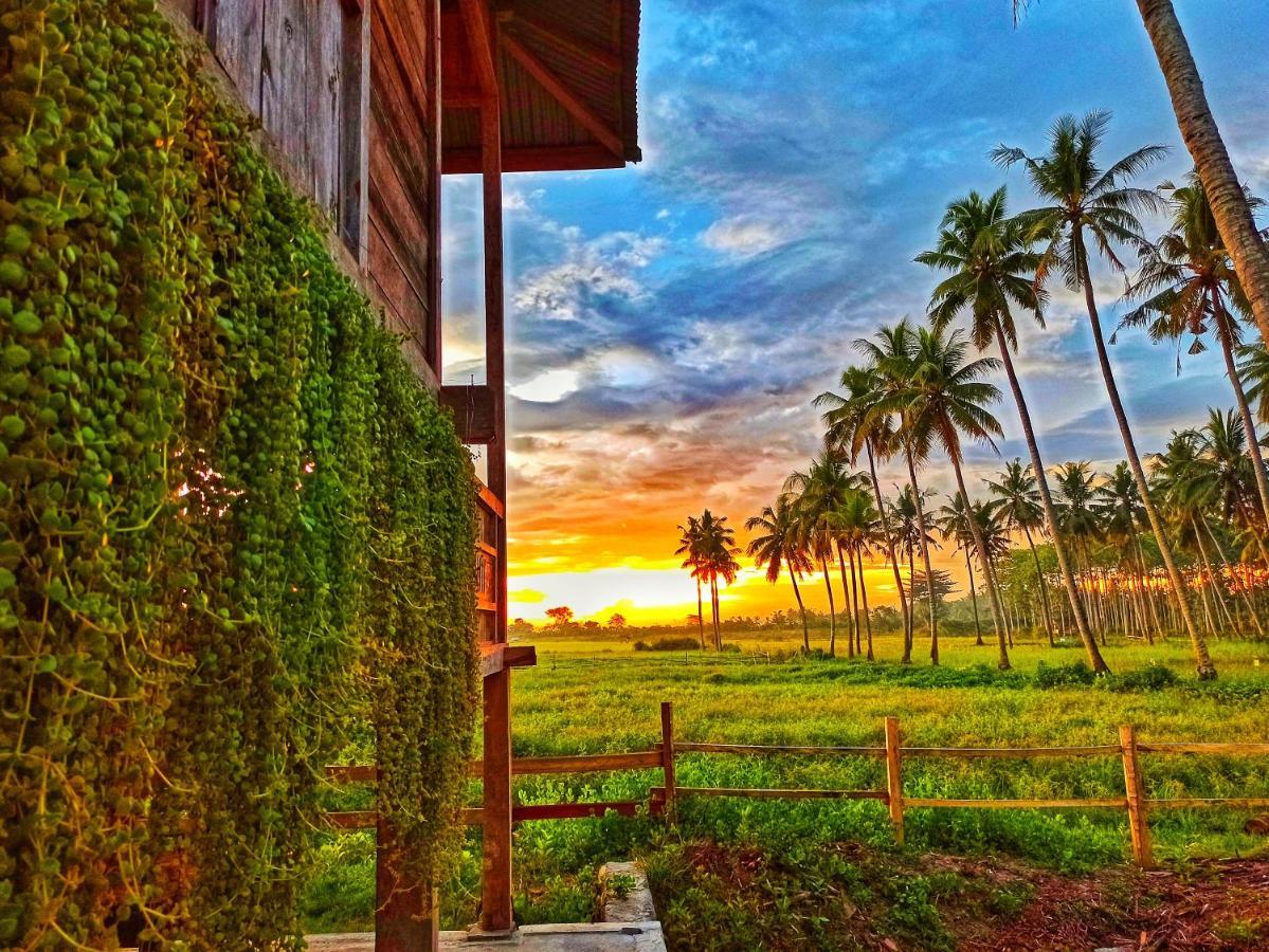Sunset Homestay By Harry & Mimin Telaga Eksteriør billede